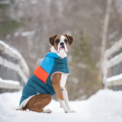 GF PET Elasto-Fit Color Block Puffer - Dark Teal - Image 7