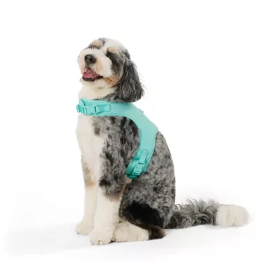 Product Top Paw® DIY Customizable Dog Harness