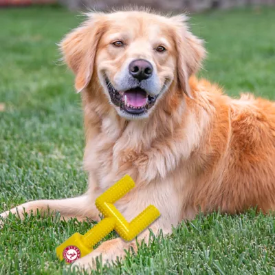 Product Alabama Hard Nylon Goal Post Dog Chew Toy