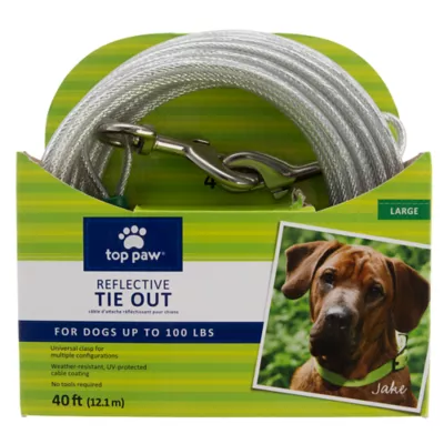 Top Paw® Reflective Dog Tie Out - Image 1