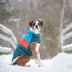 GF PET Elasto-Fit Color Block Puffer - Dark Teal image thumbnail 7