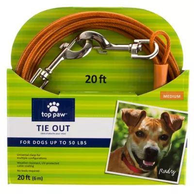 Top Paw® Reflective Dog Tie Out - Image 1