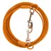 Top Paw® Reflective Dog Tie Out image thumbnail 3