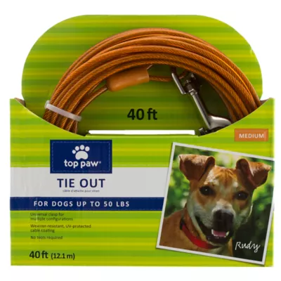 Top Paw® Reflective Dog Tie Out - Image 1