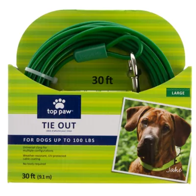 Top Paw® Reflective Dog Tie Out - Image 1