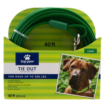 Top Paw® Reflective Dog Tie Out - Image 1