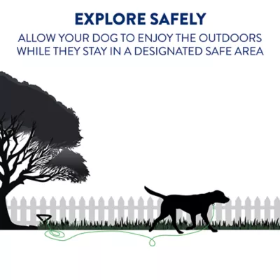 Top Paw® Reflective Dog Tie Out - Image 2