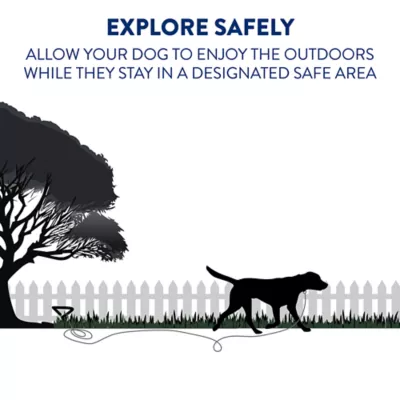 Top Paw® Reflective Dog Tie Out - Image 2