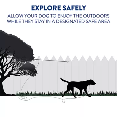 Top Paw® Trolley Dog Tie Out - Image 2