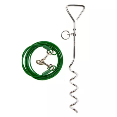 Top Paw® Spiral Stake Dog Tie Out - Image 1