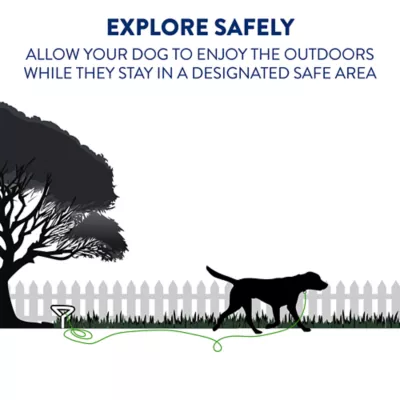 Top Paw® Spiral Dog Stake - Image 2