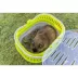 TRIXIE Pico Transport Crate, Portable Travel Carrier, For Small Pets, Hamsters, Lizards image thumbnail 10