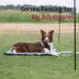TRIXIE Portable Pet Fence, Mesh Dog Playpen, Outdoor Camping Fence, Easy to Transport image thumbnail 4