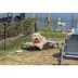 TRIXIE Portable Pet Fence, Mesh Dog Playpen, Outdoor Camping Fence, Easy to Transport image thumbnail 6