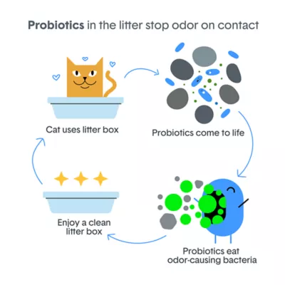 BoxiePro Clumping Clay Cat Litter - Unscented, Low Dust, Low Tracking - Image 6