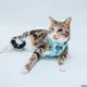 Product Sassy Meow Stitch Cat Harness
