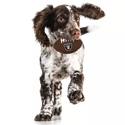 Product Las Vegas Raiders Hard Nylon Football Dog Chew Toy