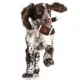 Product Louisville Hard Nylon Football Dog Chew Toy