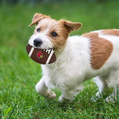 Product Louisville Hard Nylon Football Dog Chew Toy