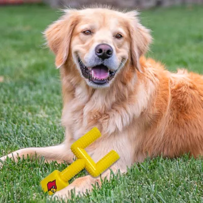 Product Louisville Hard Nylon Football Goal Post Dog Chew Toy