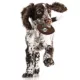 Product Miami  Dolphins Hard Nylon Football Dog Chew Toy