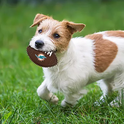 Product Miami  Dolphins Hard Nylon Football Dog Chew Toy