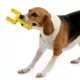 Product Miami Dolphins Hard Nylon Football Goal Post Dog Chew Toy