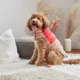 Product GF PET Elasto-Fit Color Block Puffer - Pink