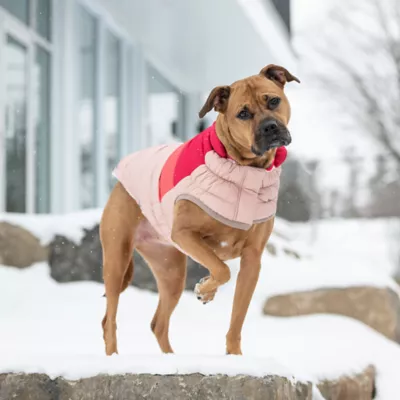Product GF PET Elasto-Fit Color Block Puffer - Pink