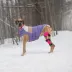 GF PET Elasto-Fit Color Block Puffer - Purple image thumbnail 6