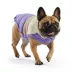 GF PET Elasto-Fit Color Block Puffer - Purple image thumbnail 1