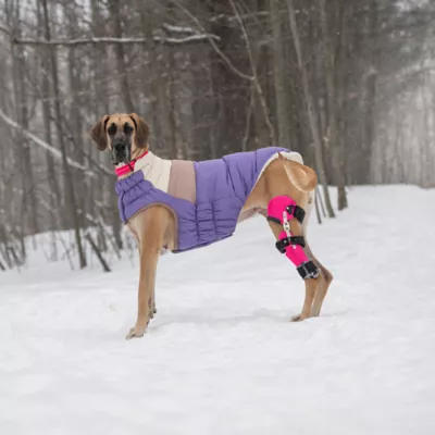 GF PET Elasto-Fit Color Block Puffer - Purple - Image 6