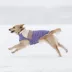 GF PET Elasto-Fit Color Block Puffer - Purple image thumbnail 8