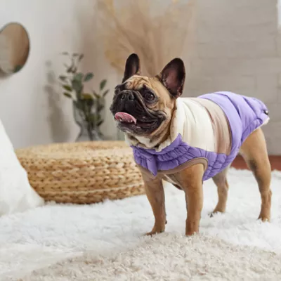 Product GF PET Elasto-Fit Color Block Puffer - Purple