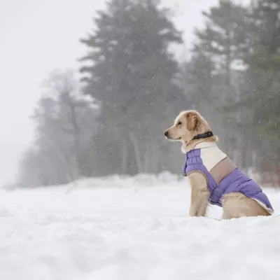 Product GF PET Elasto-Fit Color Block Puffer - Purple