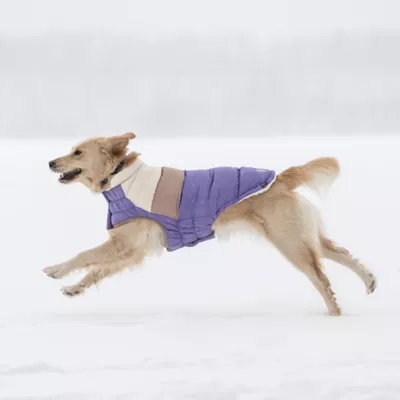 Product GF PET Elasto-Fit Color Block Puffer - Purple