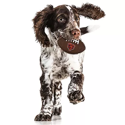 Product Chicago Bears Hard Nylon Football Dog Chew Toy