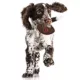 Product Chicago Bears Hard Nylon Football Dog Chew Toy