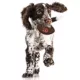 Product Cincinnati Bengals Hard Nylon Football Dog Chew Toy