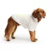 GF PET Cozy Hoodie - White image thumbnail 1
