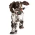 Florida Hard Nylon Football Dog Chew Toy image thumbnail 3