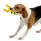 Product Florida Hard Nylon Football Goal Post Dog Chew Toy