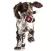 Indiana Hard Nylon Football Dog Chew Toy image thumbnail 3