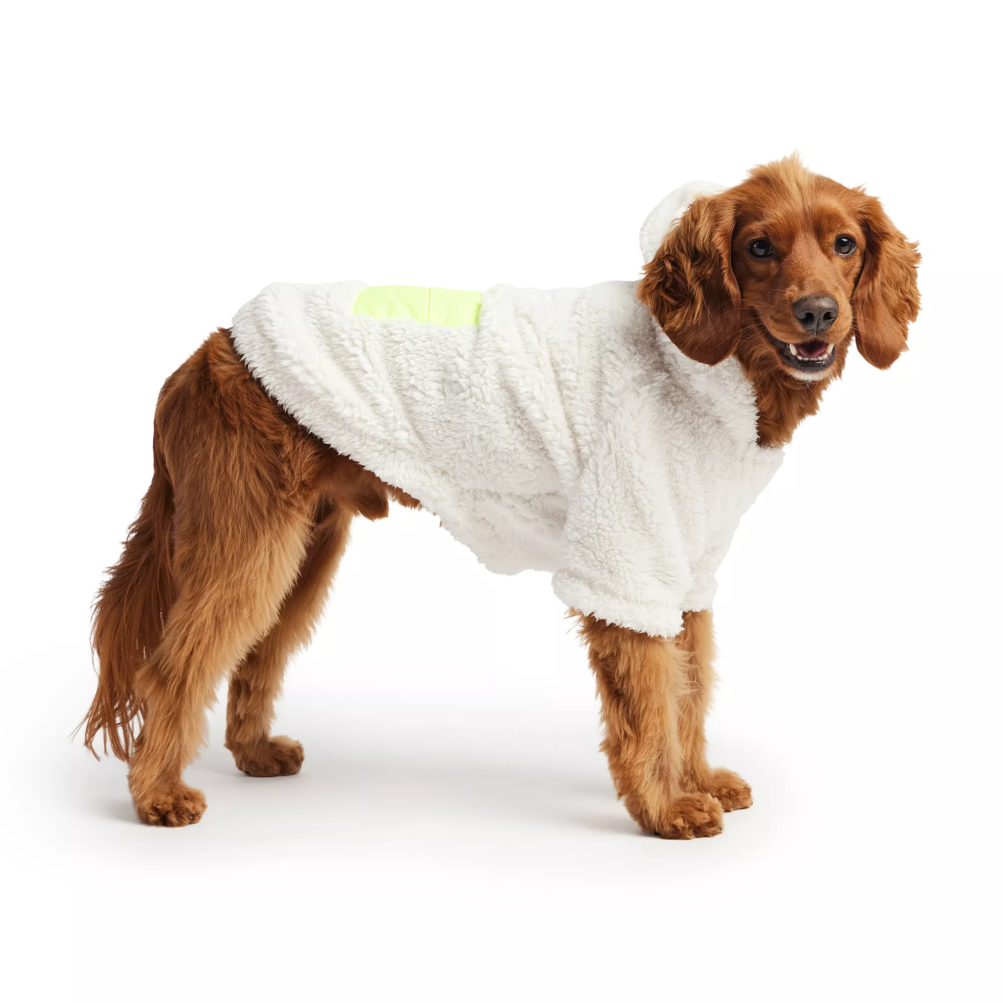GF PET Cozy Hoodie - White
