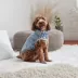 GF PET Elasto-Fit Denim Jacket - Light Wash image thumbnail 5