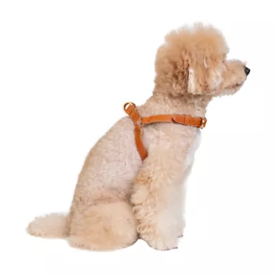 KANDOG Leather Harness, Dog and Cat - Image 2