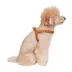 KANDOG Leather Harness, Dog and Cat image thumbnail 2