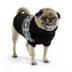 GF PET Fuzzy Sweater - Black image thumbnail 1