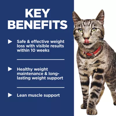 Product Hill's Science Diet Cat - Stew, Pouch, 2.8 OZ