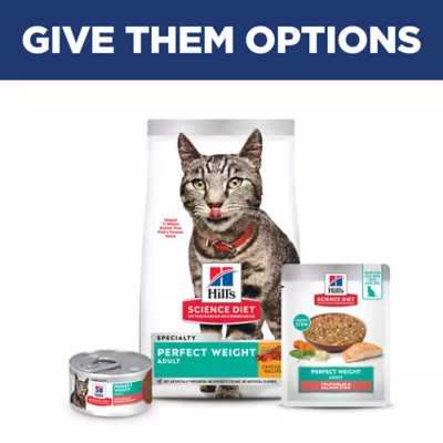Product Hill's Science Diet Cat - Stew, Pouch, 2.8 OZ